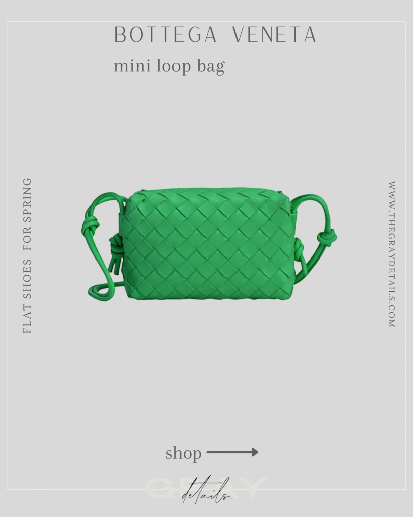 Bottega Veneta Mini Loop Bag