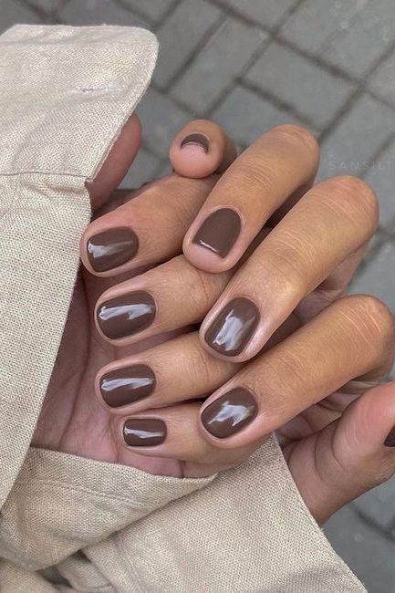 Dark Chocolate Chrome Brown Nails