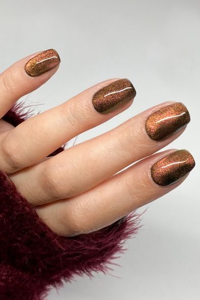 Velvet Cat Eye nail ideas