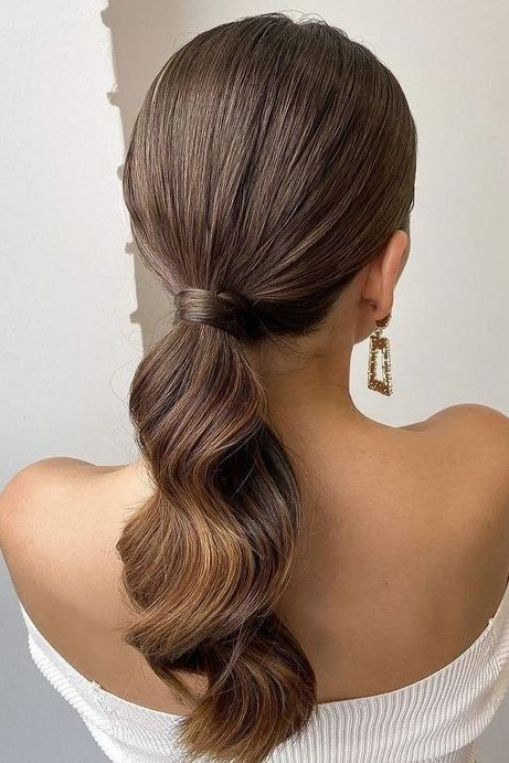 Elegant Ponytail ideas