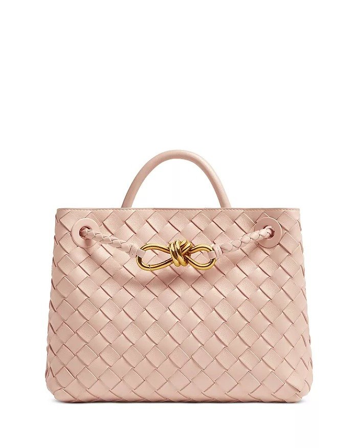 Bottega Venetta bag