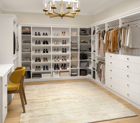 Shoe Organizer in closet