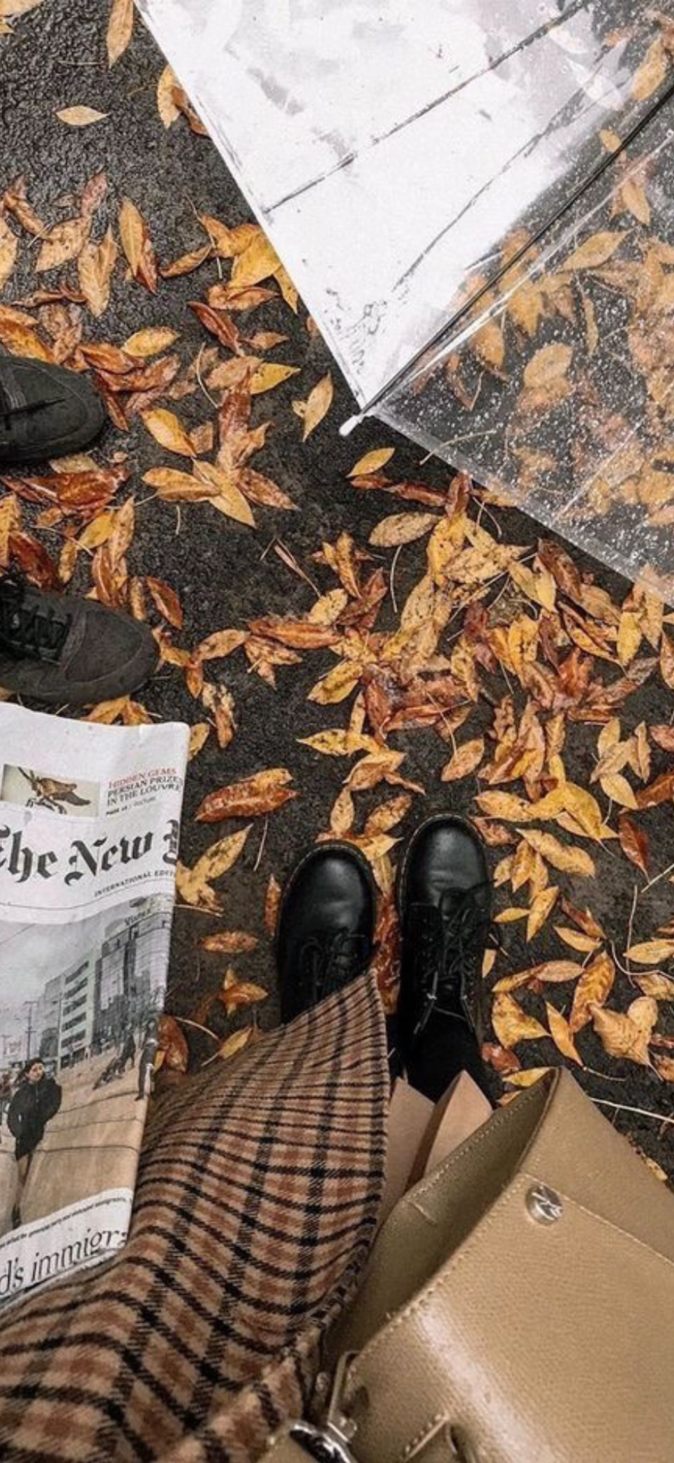 Fall shoes