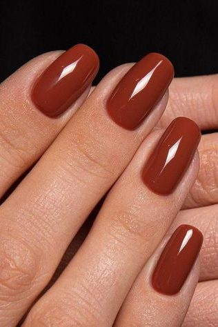 Cinnamon and Nutmeg Nail ideas