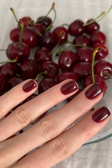 Classic Short Burgundy Nails
