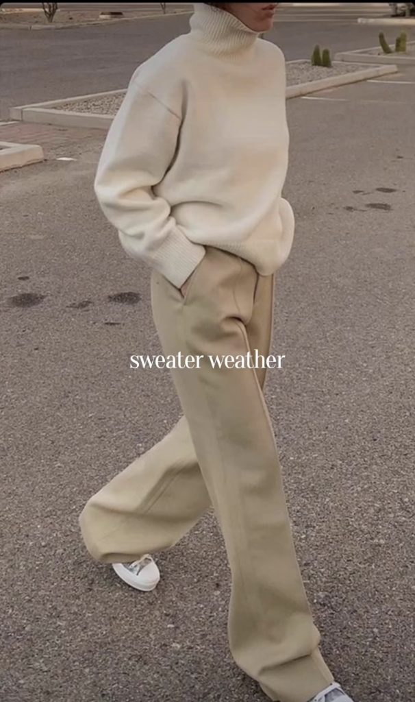 Chic Sweater and Trousers Outfit
