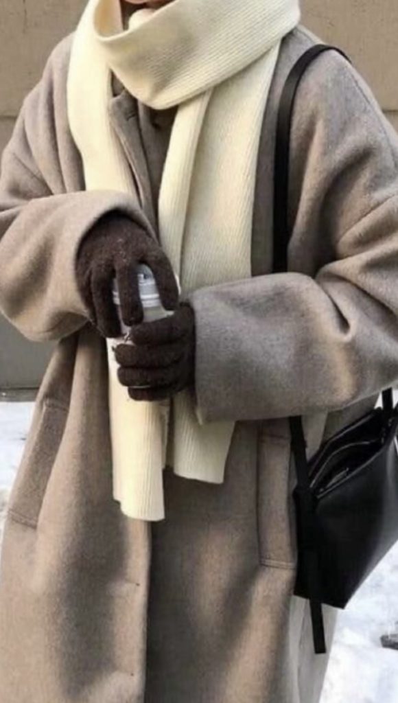 Coat Winter Outfit idea