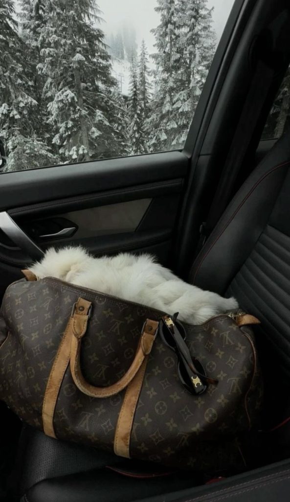 cozy scarf