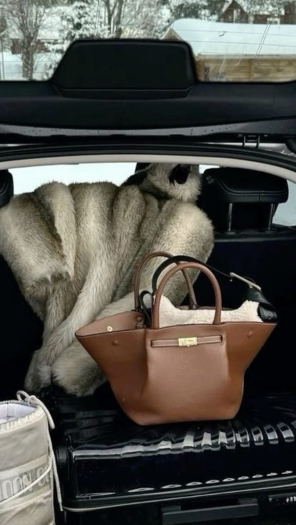 handbag and luggage